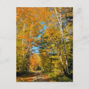 Landstrasse Herbstfarben New Hampshire Postkarte