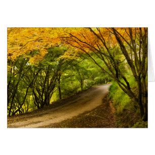 Landstraße im Herbst