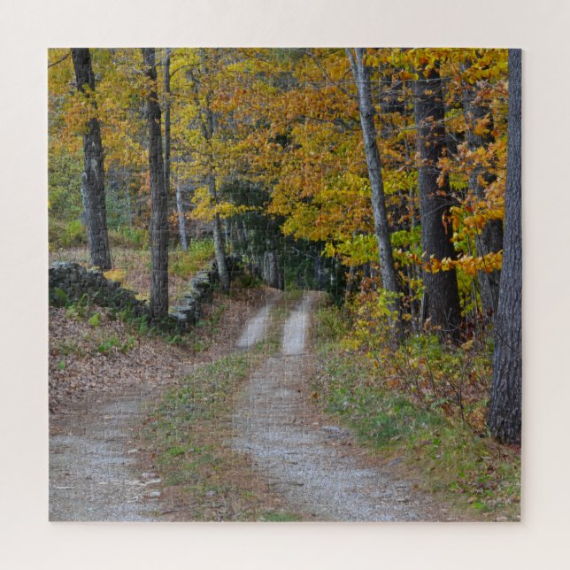 Landstraße im Herbst (Vertikal)
