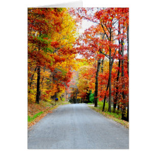 Landstraße im Herbst