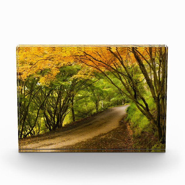 Landstraße im Herbst Fotoblock (Vorderseite)