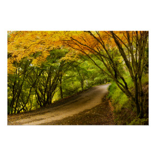 Landstraße im Herbst Poster