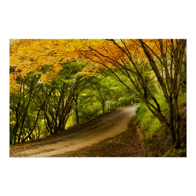 Landstraße im Herbst Poster (Vorderseite)
