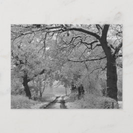Landstraße im Winter: Cheshire, England Postkarte