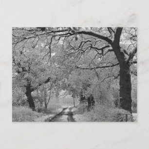 Landstraße im Winter: Cheshire, England Postkarte