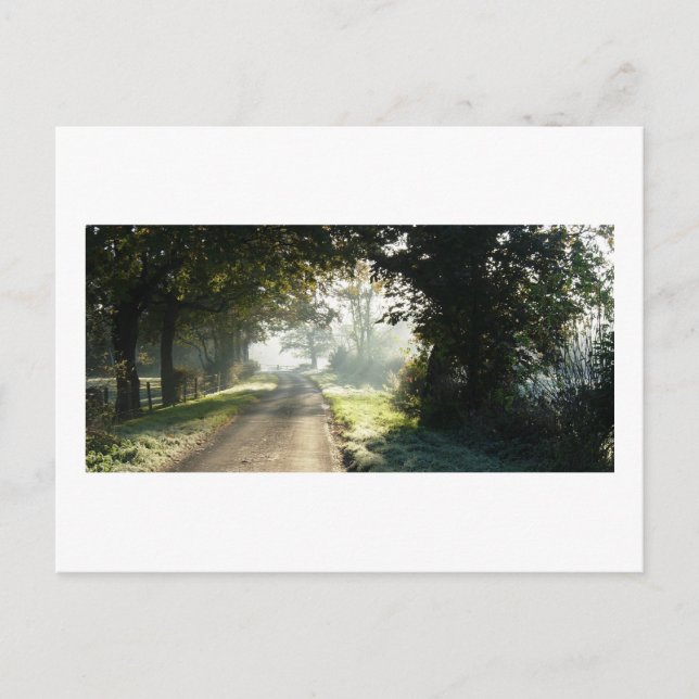 Landstraße in Cheshire Postkarte (Vorderseite)