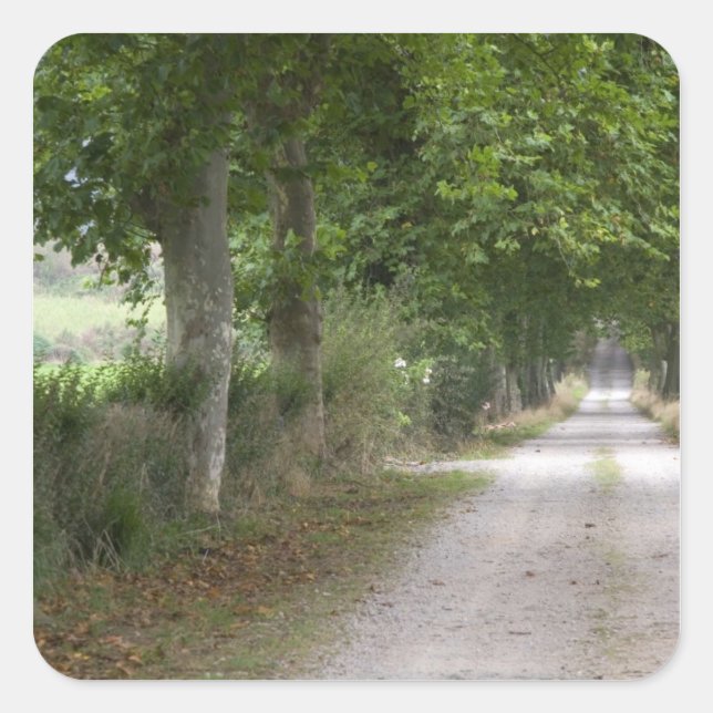 Landstraße in der Nähe der Stadt Quadratischer Aufkleber (Vorderseite)