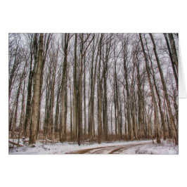 Landstraße in schneebedeckte Wälder