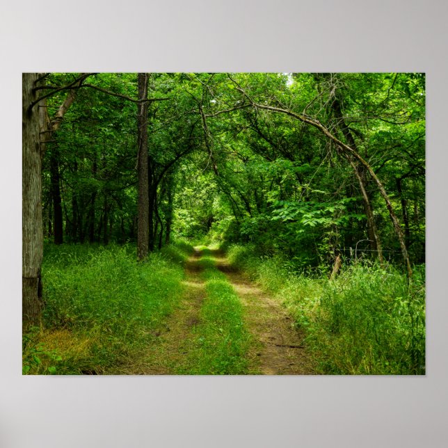 Landstraße Poster (Vorne)