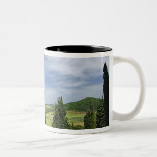Landstraße zwischen Zypressen in Zweifarbige Tasse
