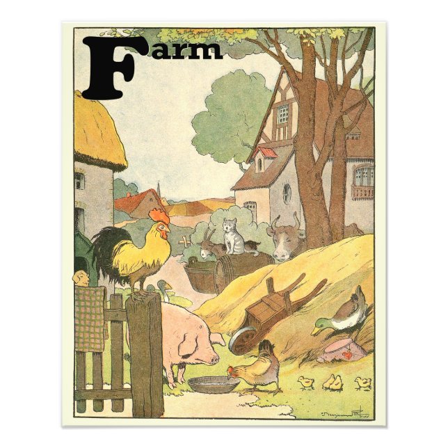 Landtiere Illustriert Alphabet Fotodruck (Vorne)