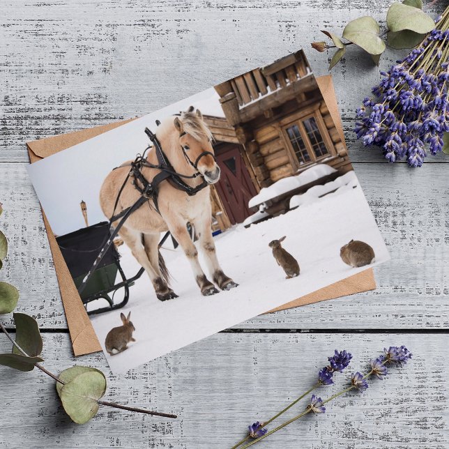 Landtiere reden Pferd und Kaninchen Postkarte (Von Creator hochgeladen)