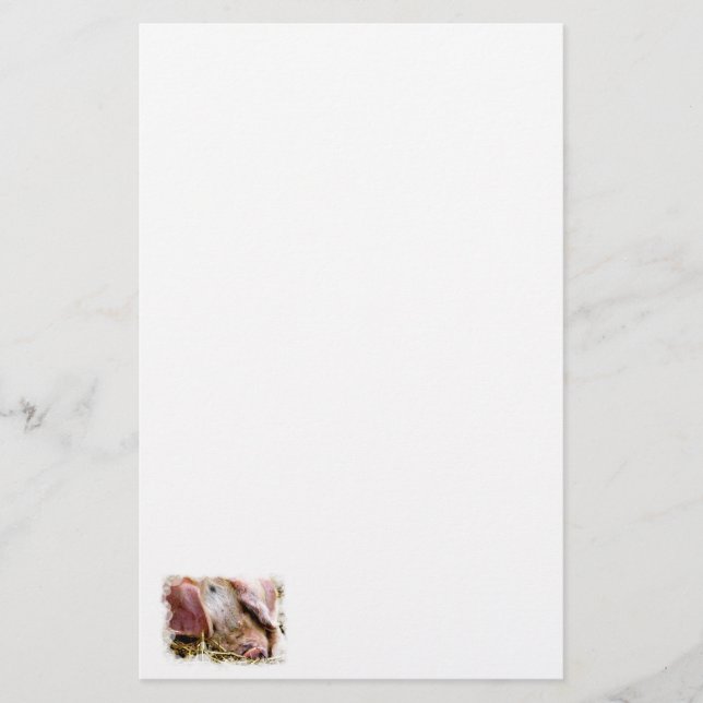 LANDTIERE, SCHWEINE BRIEFPAPIER (Vorderseite)