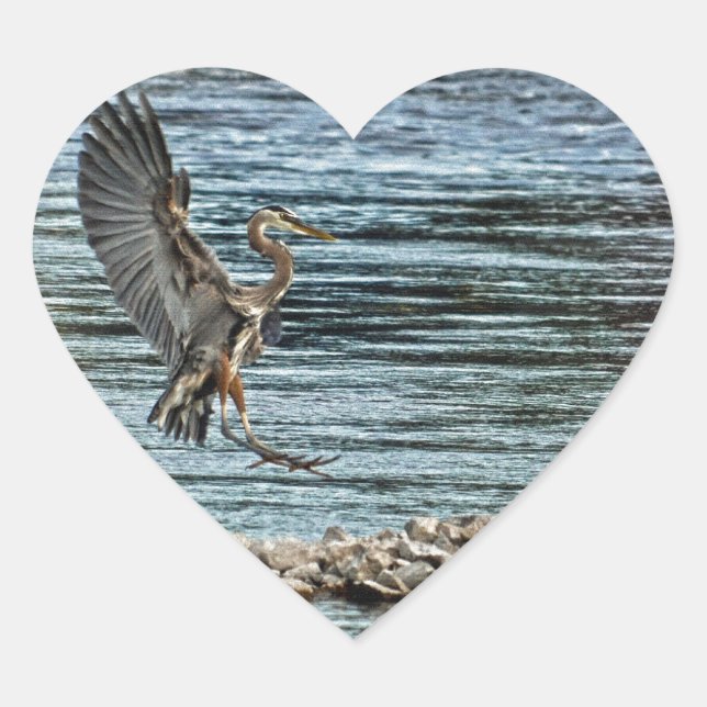Landung Great Blue Heron Wildlife Birdlover Design Herz-Aufkleber (Vorderseite)