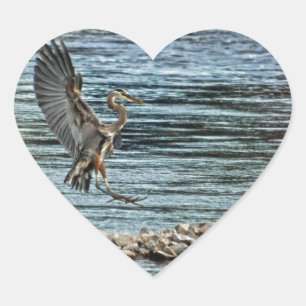 Landung Great Blue Heron Wildlife Birdlover Design Herz-Aufkleber