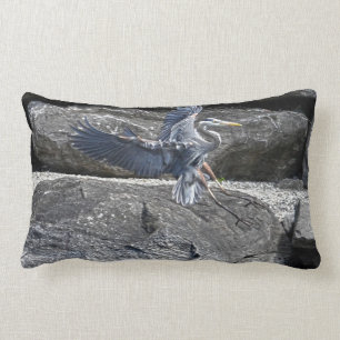 Landung Great Blue Heron Wildlife Birdlover Foto Lendenkissen