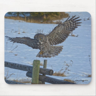 Landung großer grauer Schüssel und Schnee Wildtier Mousepad