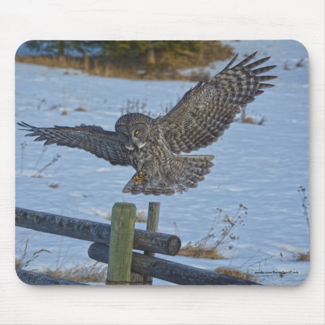 Landung großer grauer Schüssel und Schnee Wildtier Mousepad (Vorne)