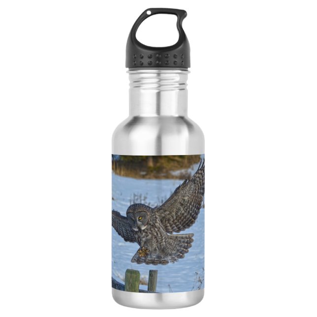 Landung großer grauer Schüssel und Schnee Wildtier Trinkflasche (Vorderseite)
