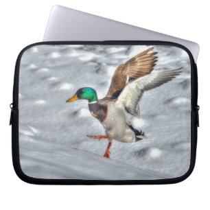 Landung Mallard Duck Drake 4 Wildlife Foto Laptopschutzhülle