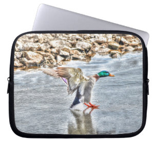 Landung Mallard Duck Drake 8 Wildlife Foto Laptopschutzhülle