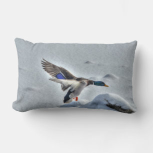 Landung Mallard Duck Drake Wildlife Foto Lendenkissen