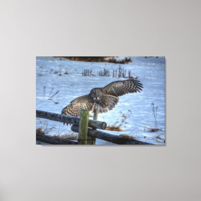 Landung von Großen Grauen und Zaun im Schnee II Leinwanddruck (Vorderseite)