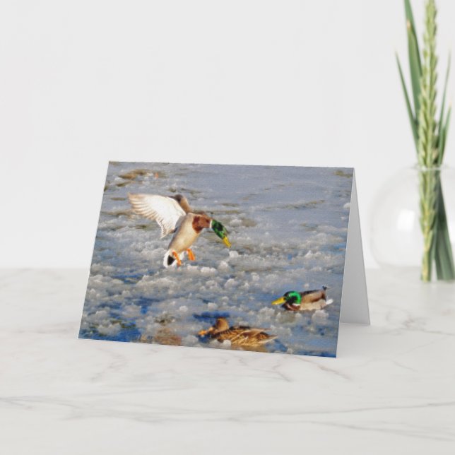 Landungs-Stockenten-Enten-Tier-Kunst Gruß-Karte Karte (Vorderseite)