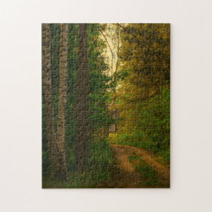 Landwald Landhaus Dorf Weißrussland