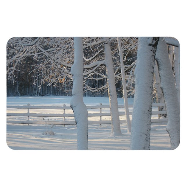 Landweidenmagazin Magnet (Horizontal)