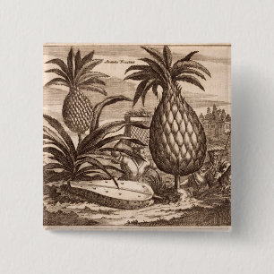Landwirtschaft der großen Ananas, Illustration vo Button