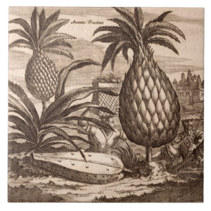 Landwirtschaft der großen Ananas, Illustration vo Fliese