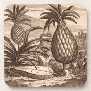 Landwirtschaft der großen Ananas, Illustration vo Untersetzer