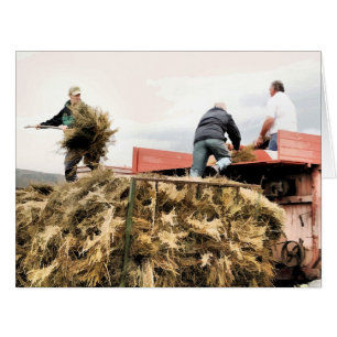 LANDWIRTSCHAFT GRUßKARTEN