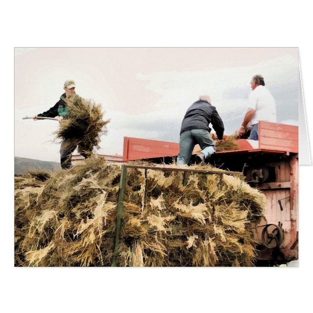 LANDWIRTSCHAFT GRUßKARTEN (Vorderseite (Horizontal))