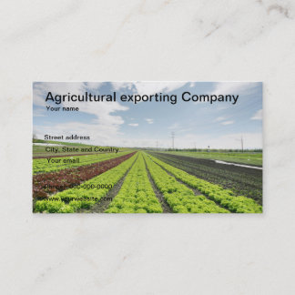 Landwirtschaftliche Exportfirma-Visitenkarte Visitenkarte