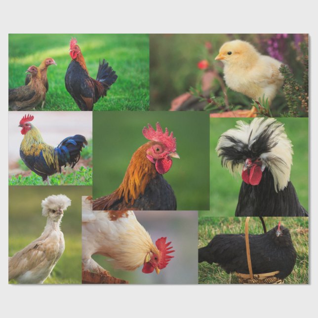 Landwirtschaftliche Hühnerfoerme Geschenkpapier (Flach)