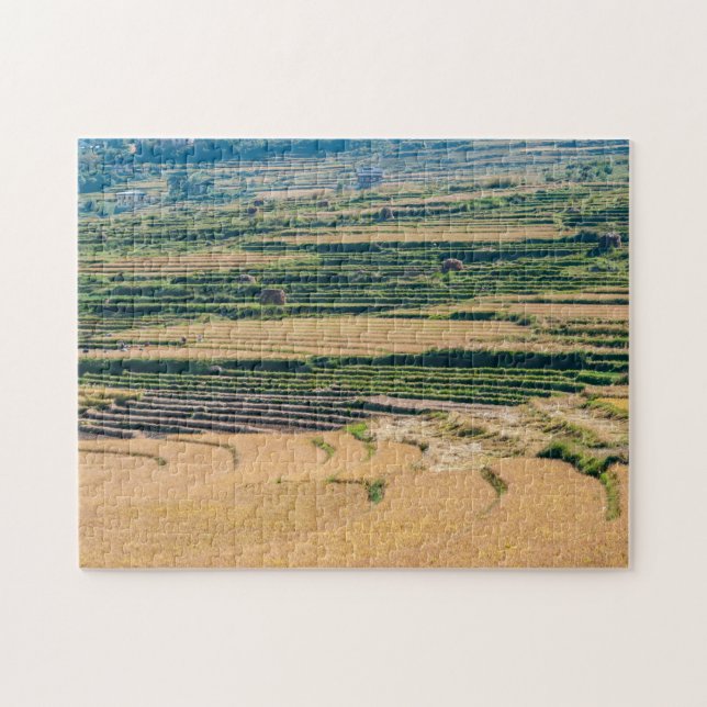 Landwirtschaftliche Landschaft - Bhutan, Asien, Hi (Horizontal)