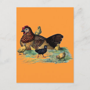 Landwirtschaftliche Landschaft mit Vintagem Hen un Postkarte