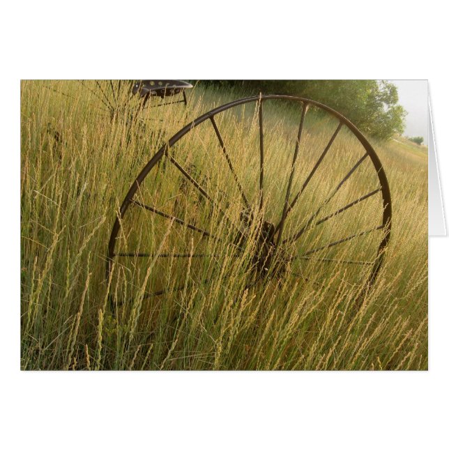 Landwirtschaftliche Relikte (Vorderseite (Horizontal))