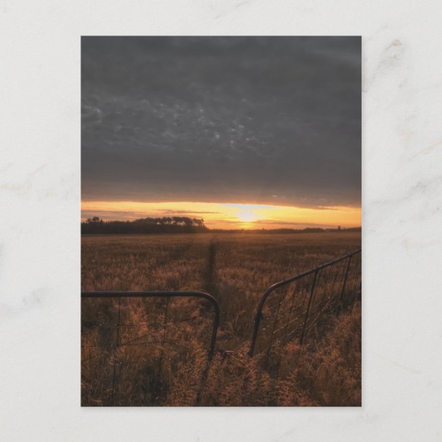 landwirtschaftlicher Bereich Postkarte (Vorderseite)