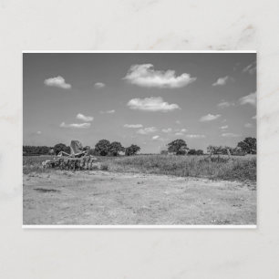 Landwirtschaftlicher Pflug im Norden Postkarte