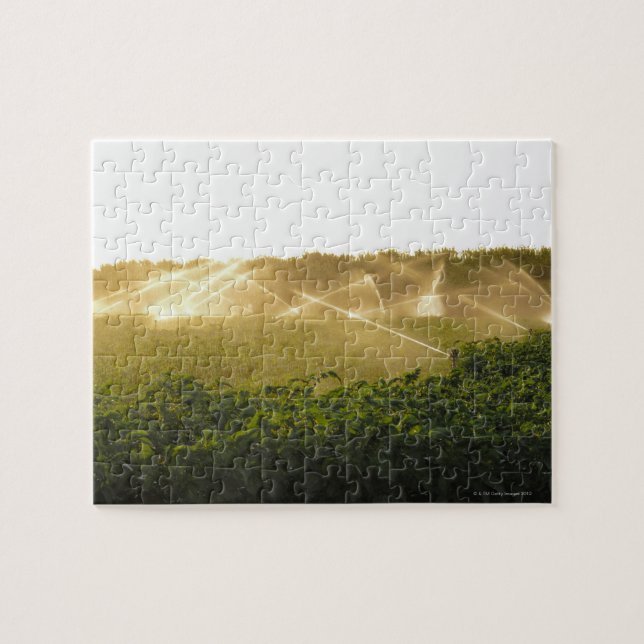 Landwirtschaftliches Bewässerungssystem, das 2 (Horizontal)