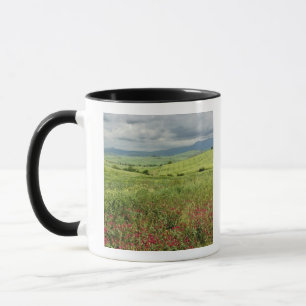 Landwirtschaftliches Feld, Region Toskana in Itali Tasse
