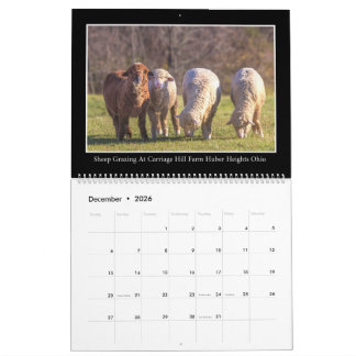 Landwirtschafts- & Scheunen-Monatsplaner von Thoma Kalender