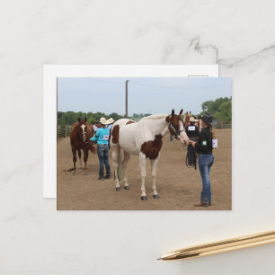 Landwirtschaftsausstellung Showmanship Paints und  Postkarte
