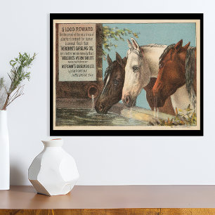 Landwirtschaftspferde trinken Werbe-Ephemera Wasse Poster