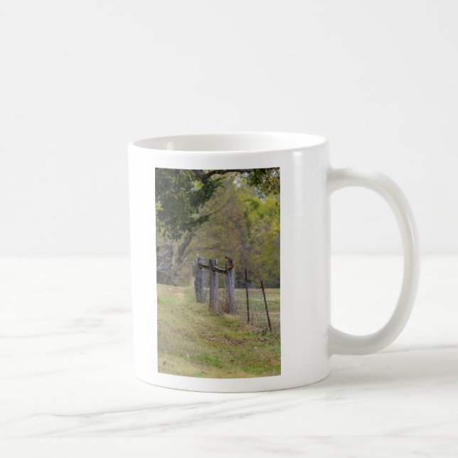 Landzaun und Eichhörnchen Kaffeetasse (Rechts)