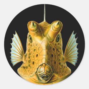 Lang-gehörnter Cowfish Runder Aufkleber