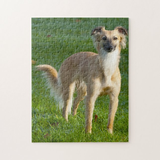 Lang haarige Hunde Hunde Jigsaws. (Vertikal)